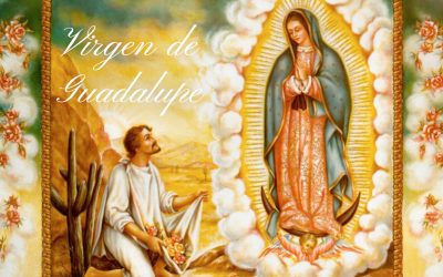 Virgen Guadalupe Reina de México, imploramos por la paz